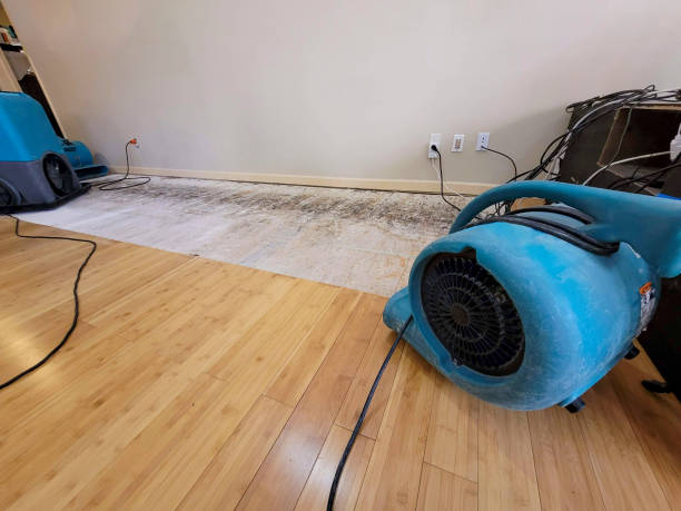 Reliable Basement Flood Cleanup contractor in Whitsett, TX by Hirex Water Damage