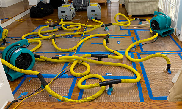 Professional Basement Flood Cleanup technician working in Whitsett, TX